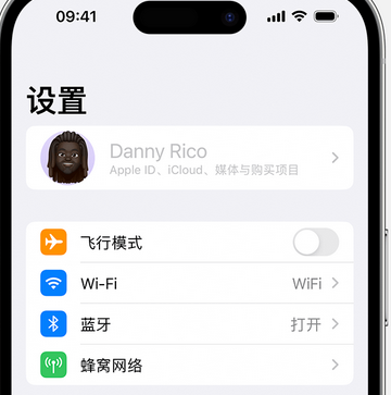 兴山appleID维修服务iPhone设置中Apple ID显示为灰色无法使用 