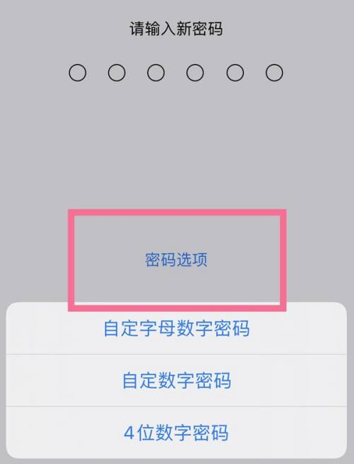 兴山苹果14维修分享iPhone 14plus设置密码的方法 