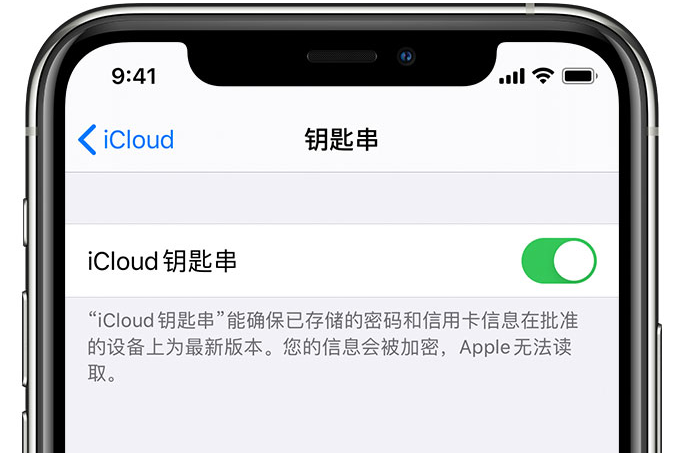 兴山苹果手机维修分享在 iPhone 上开启 iCloud 钥匙串之后会储存哪些信息 